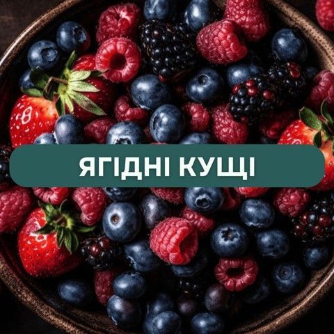 Ягоди